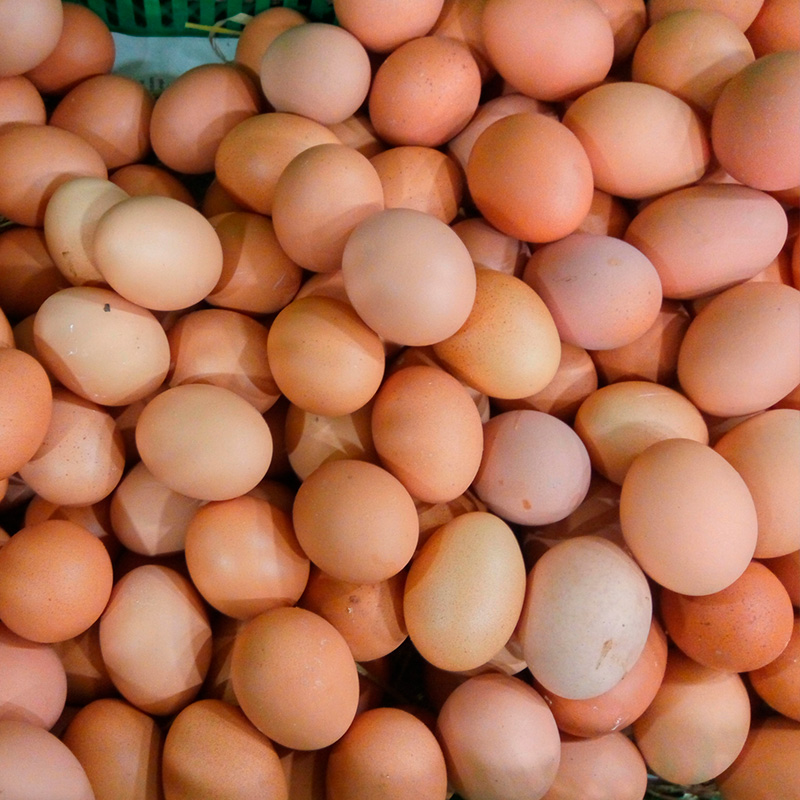 Pre-Incubation zur Verbesserung der Schlupff ähigkeit von gelagerten Eiern