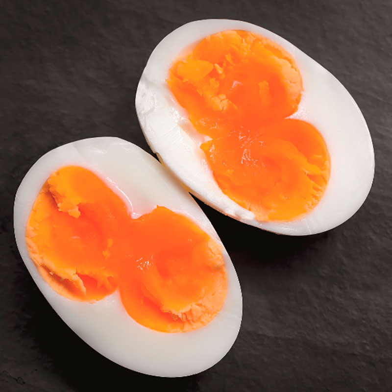 Can Double Yolk Eggs Be Fertilized