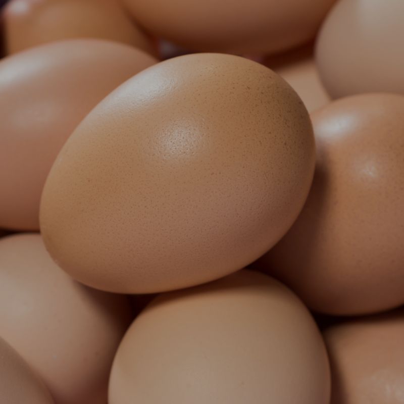 The impact of laying pattern characteristics on egg quality traits