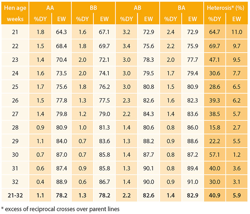 Double-yolk eggs in commercial laying hens and parent flocks - Lohmann ...