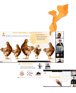 Huat Lai Resources Lohmann Breeders