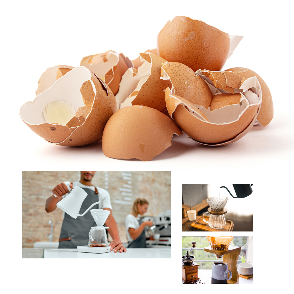 El mundo de los huevos de LOHMANN – Consejos y trucos sobre la cáscara de huevo