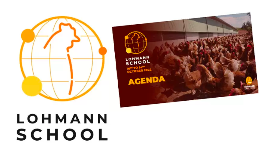 LOHMANN  SCHOOL CAGE  FREE ENFIN  DE RETOUR