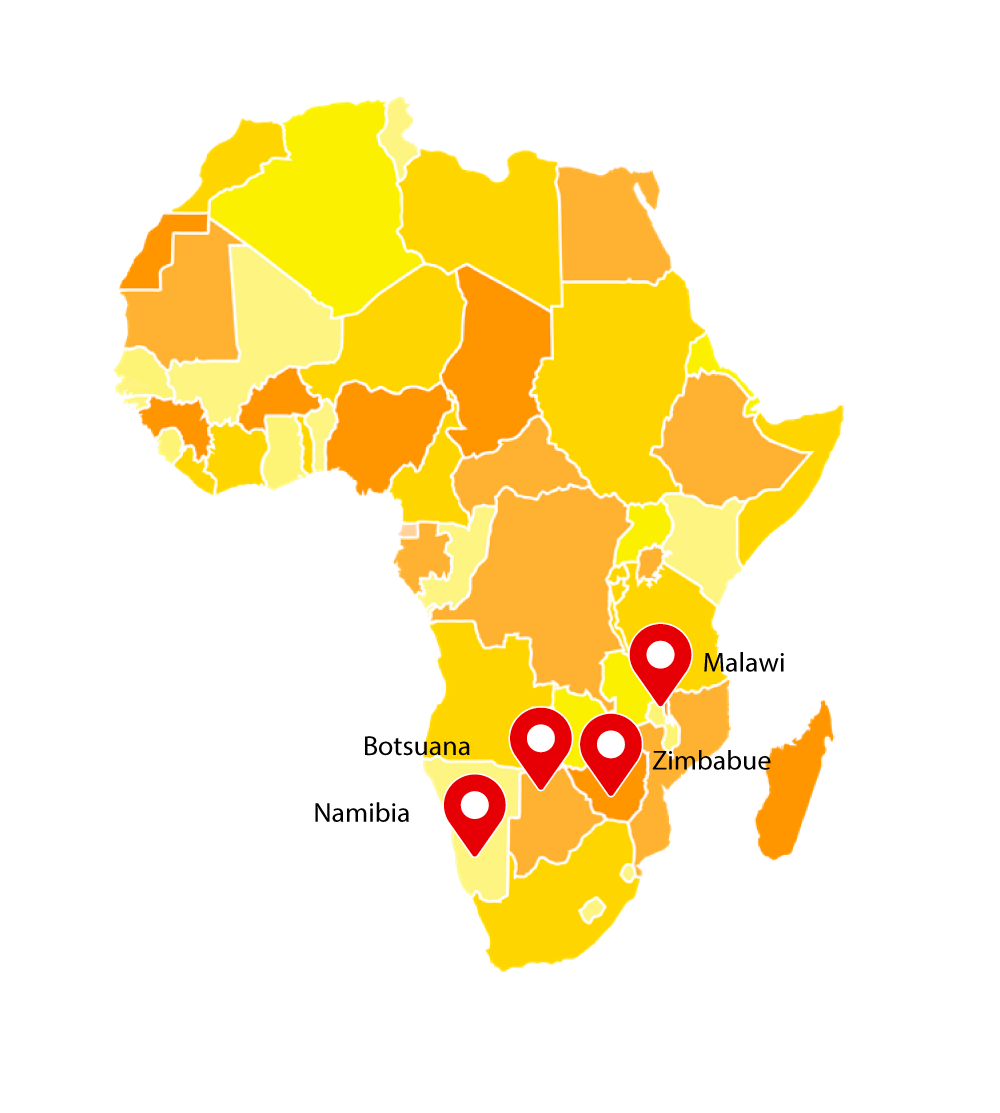 AVI AFRICA 2023