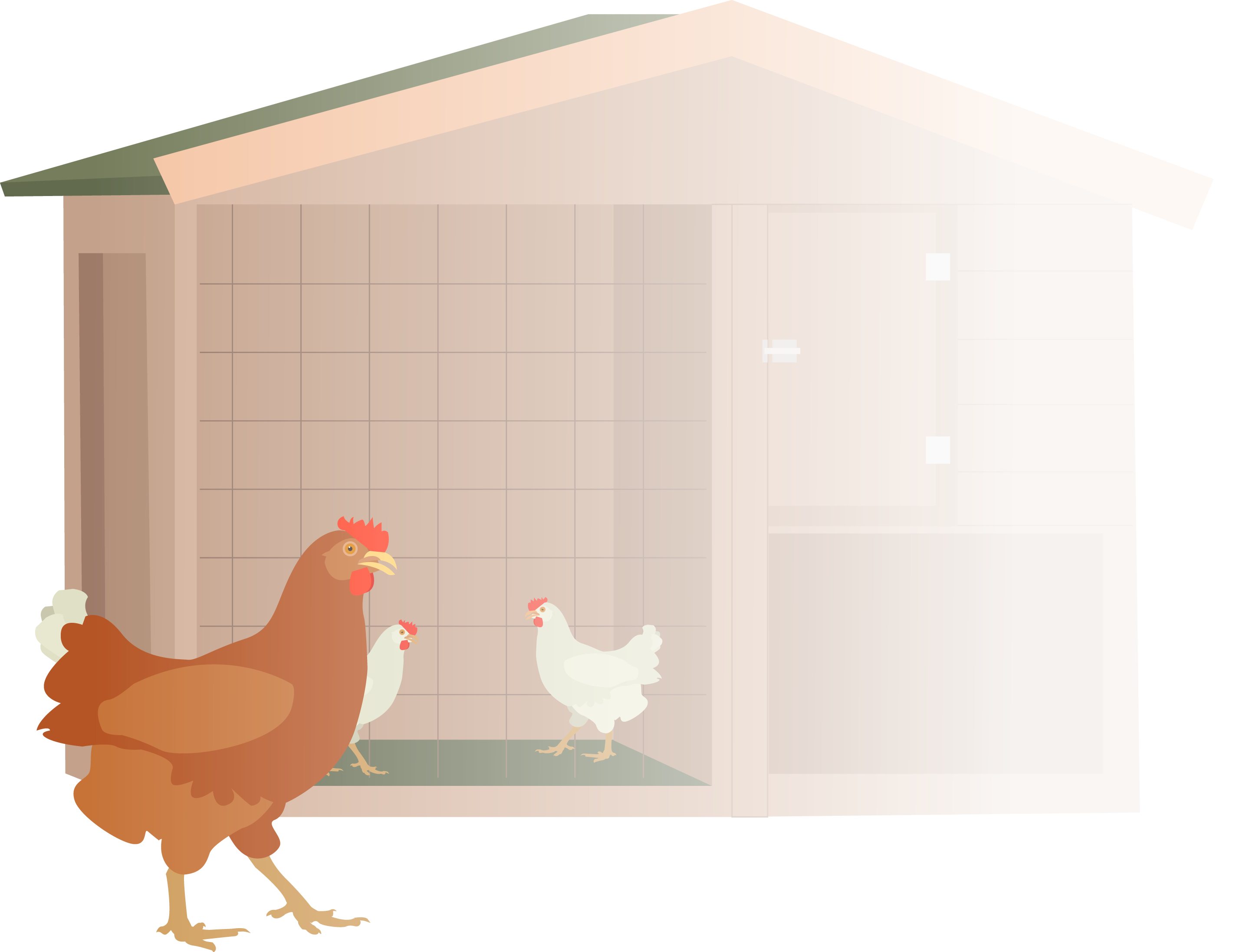 How the housing system can affect egg quality