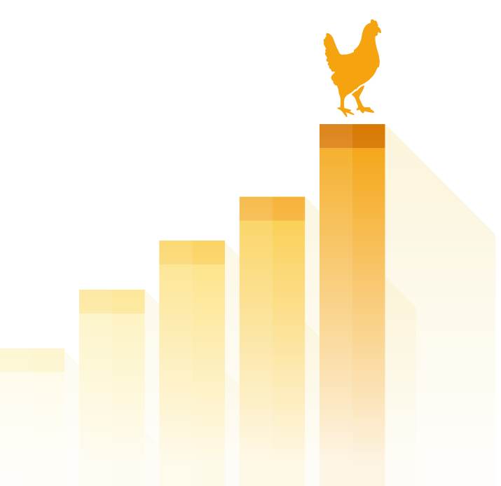 Trends, prospects and the socio-economic contribution of poultry value chains to food security and wealth creation in Africa