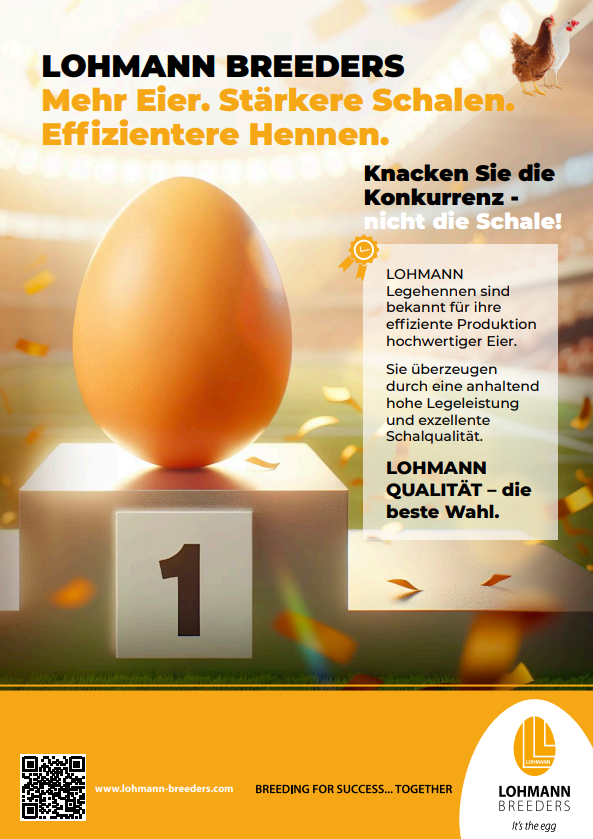 Knacke die Konkurrenz, nicht die Eier