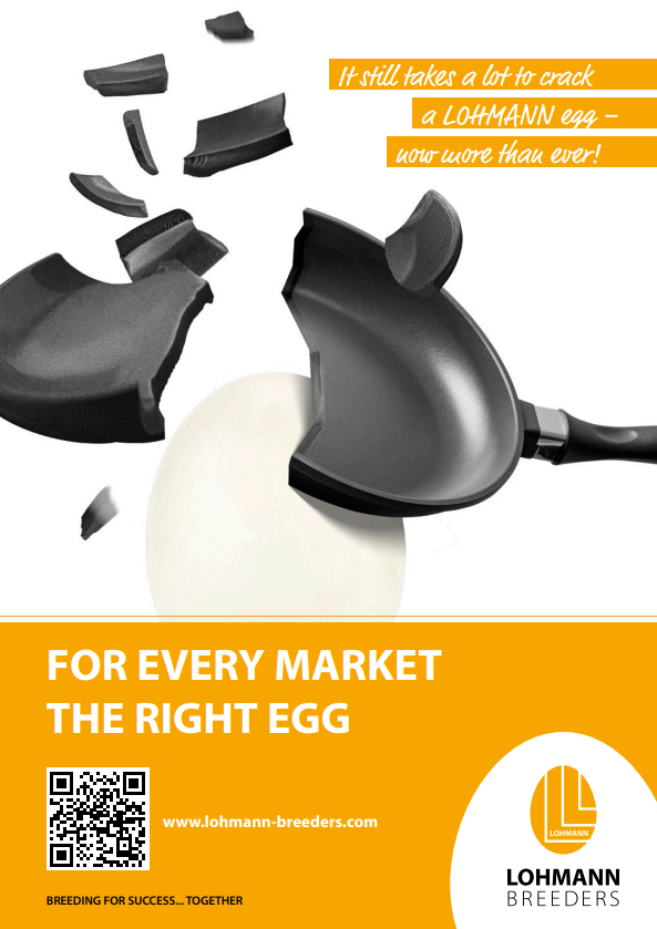 Egg pan white