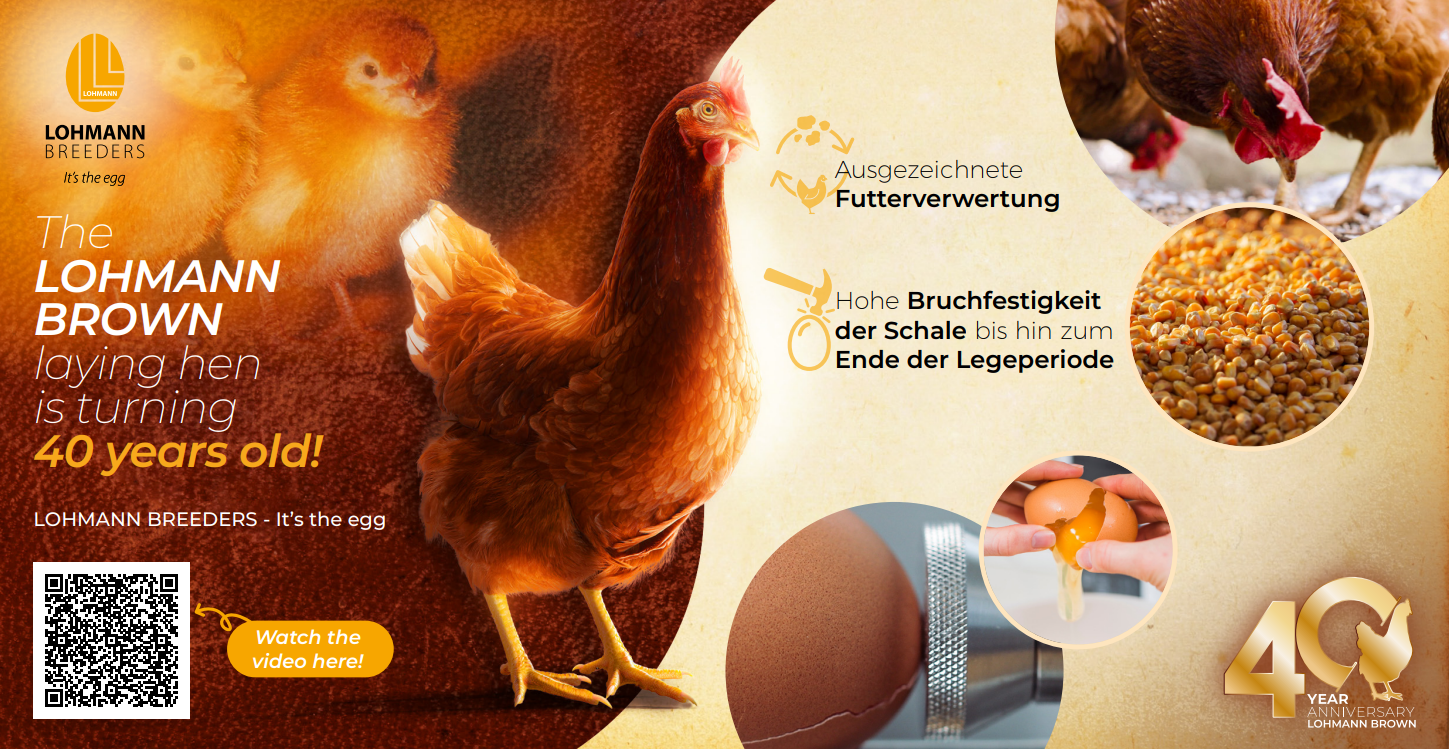 Hervorragende Futterverwertungsquote