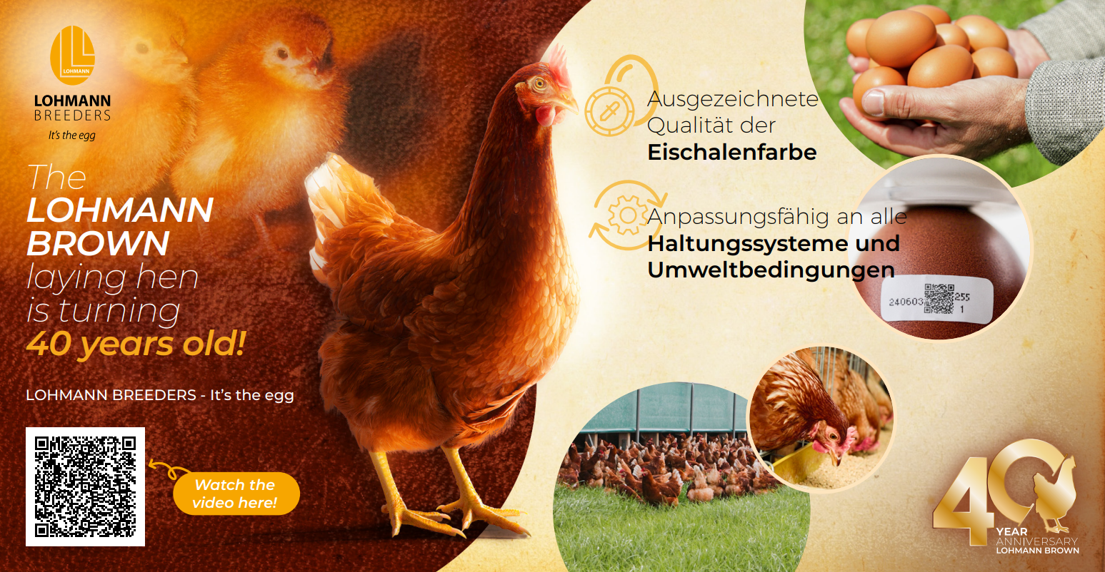 Hervorragende Qualität der Eierschalenfarbe