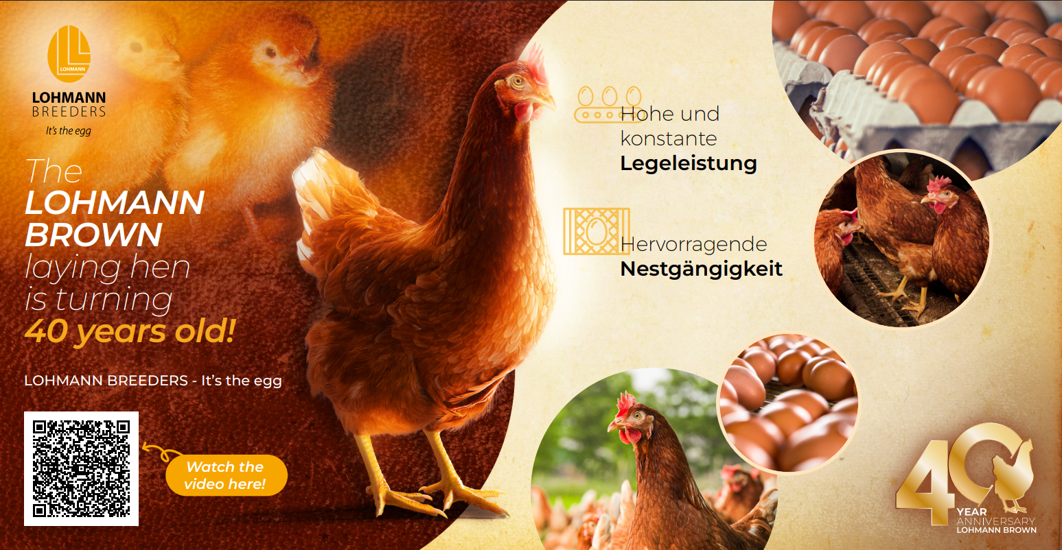 Hohe gleichbleibende Legeleistung