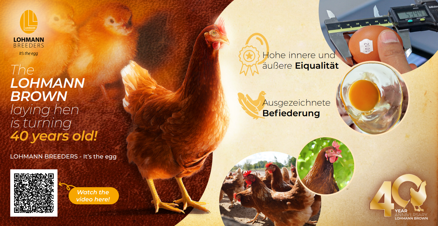 Hohe interne und externe Eierqualität