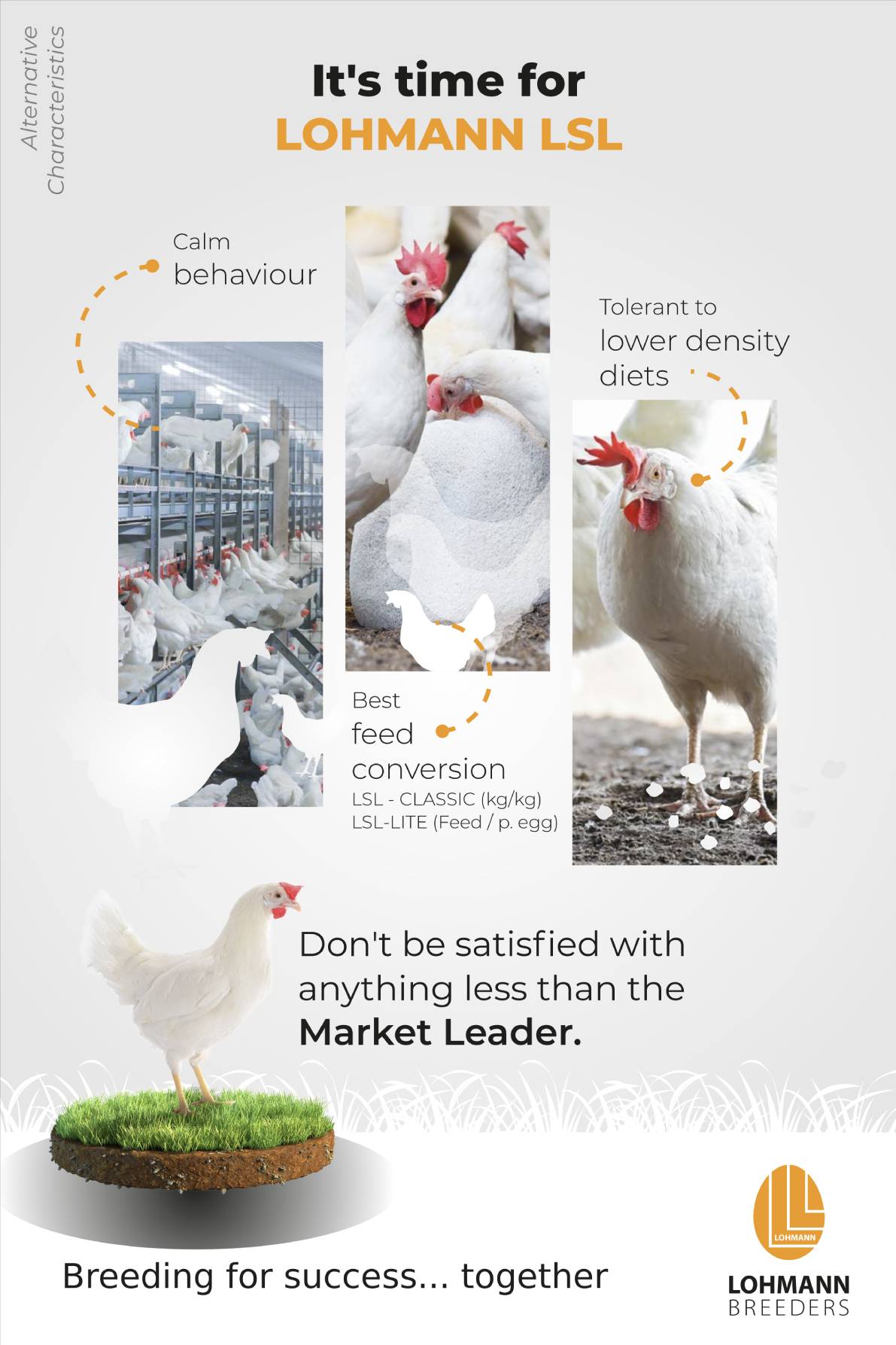 LOHMANN LSL Hen Characteristics Alternative