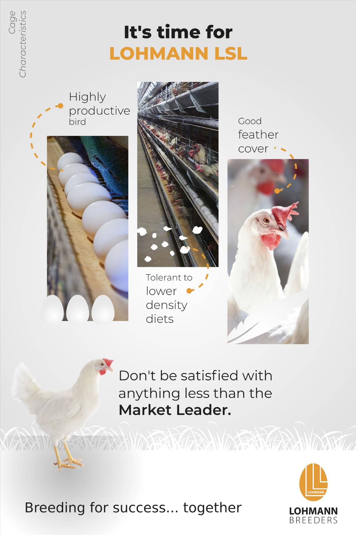 LOHMANN LSL Hen Characteristics Cage