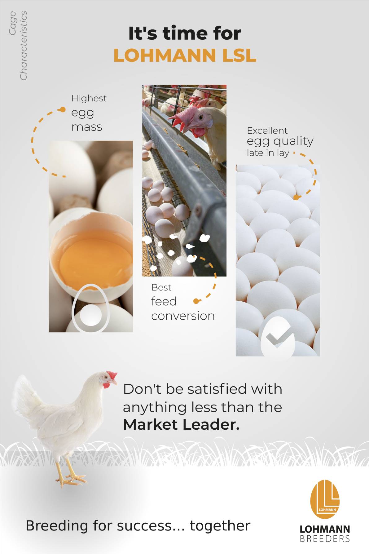 LOHMANN LSL Egg Characteristics Cage