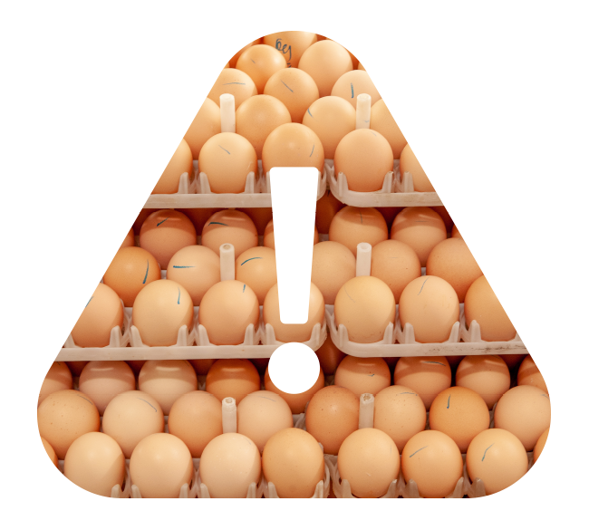 Hatchery Contamination: Principles and Practical Tips