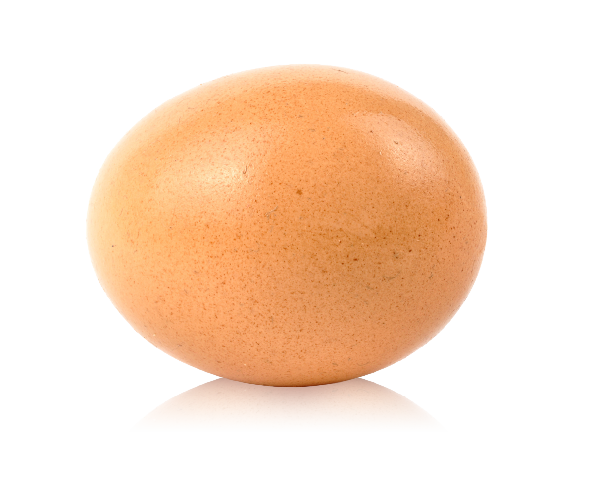 Split-feeding in laying hens – A review of concepts and current research