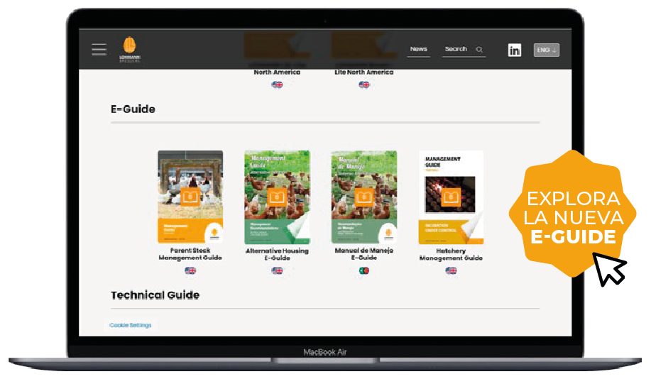 Nuevo LOHMANN interactivo – Guía de manejo de reproductoras