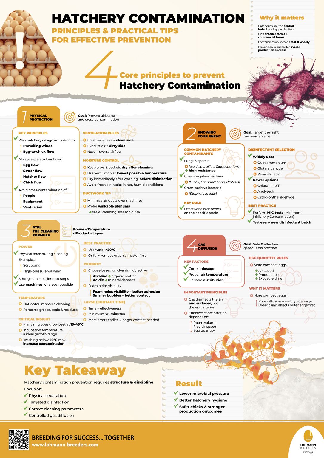 🥚 Teggnical Insights: 🛡️Hatchery contamination: 4 Core Principles for Success