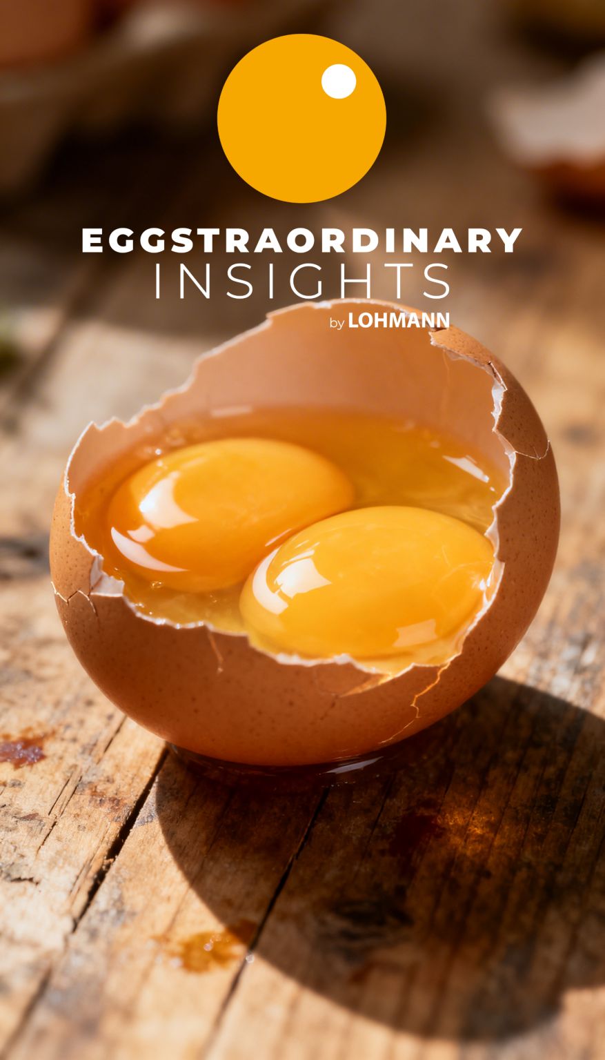 Eggstraordinary Insights Why Some Eggs Have Double Yolks – A Fascinating Natural Occurrence