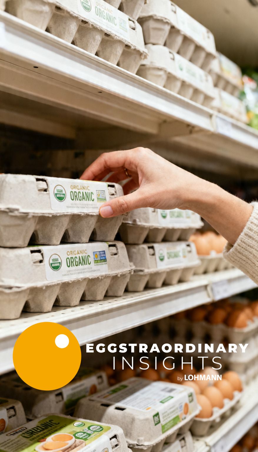 🥚 Eggstraordinary Insights: Are Organic Eggs Healthier?🥚