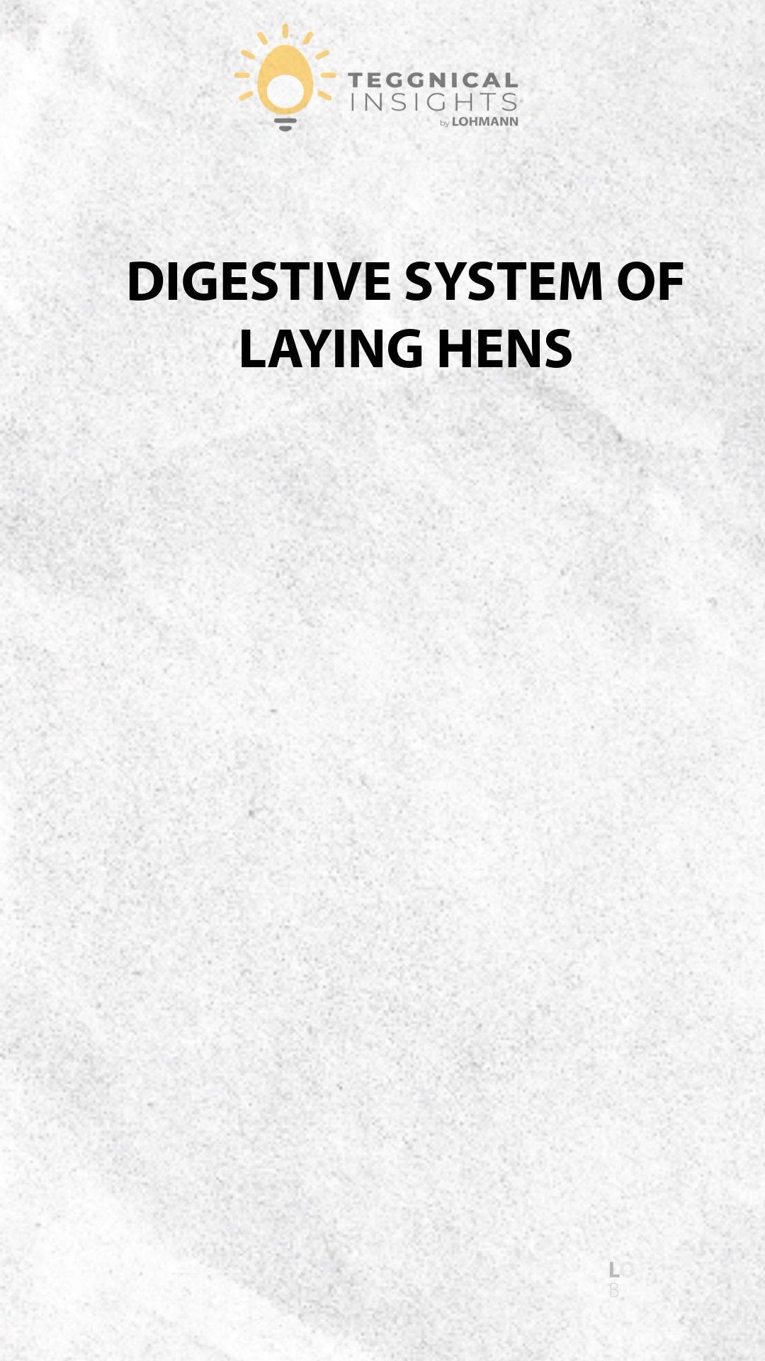 🥚 Teggnical Insights: Digestive system of laying hens