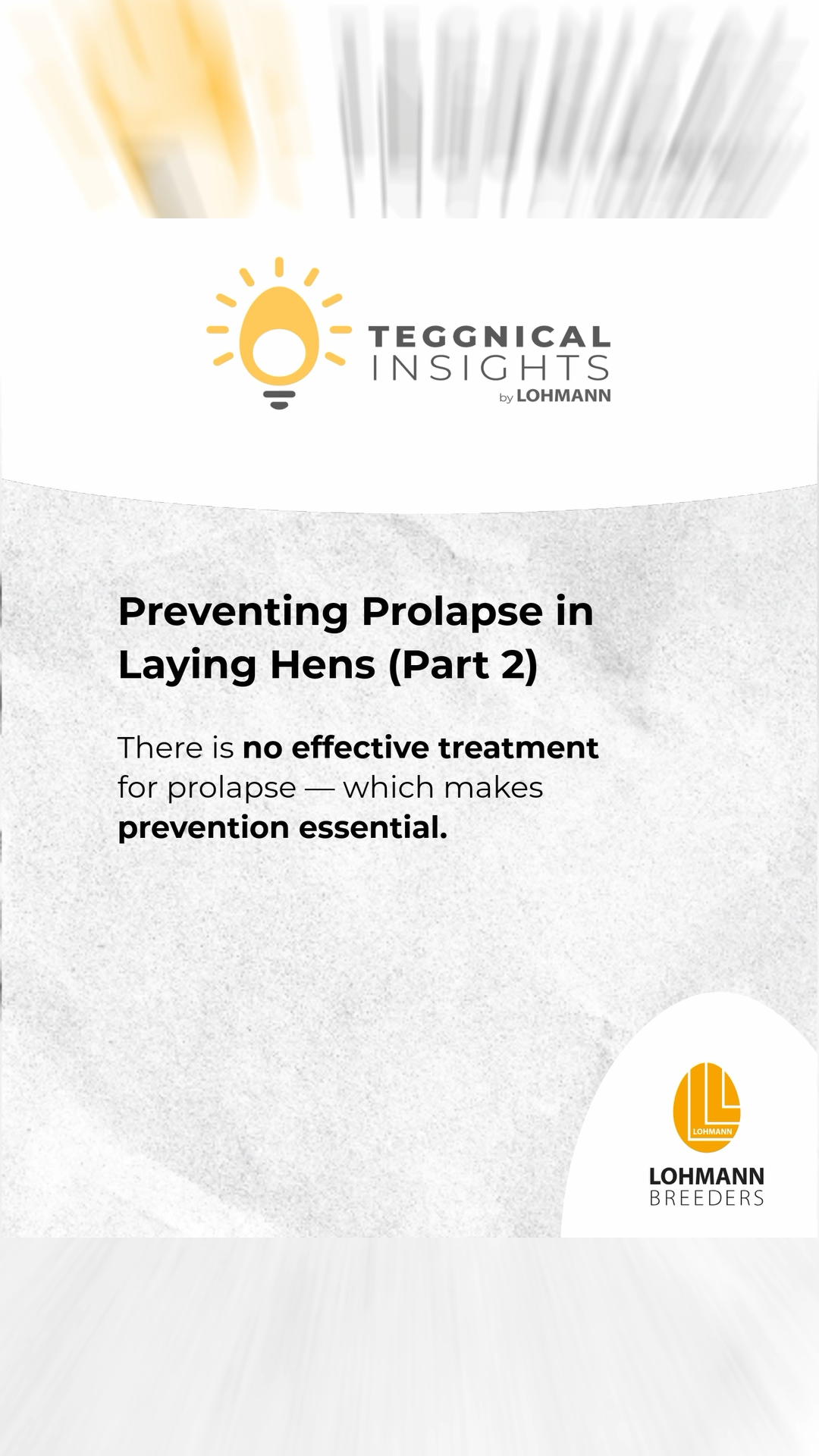 🥚 Teggnical Insights: Preventing Prolapse in Laying Hens (Part 2)