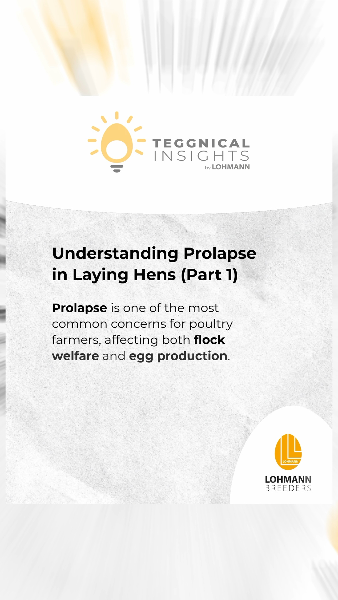 🥚 Teggnical Insights: Understanding Prolapse in Laying Hens (Part 1)