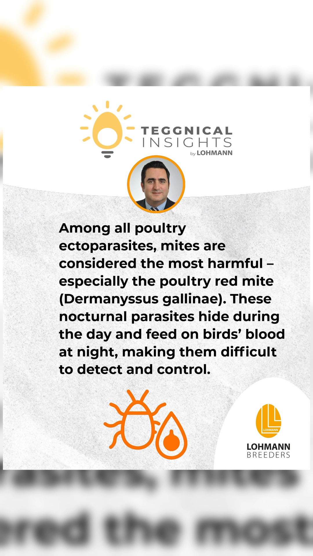 Teggnical Insights: Poultry Mites – A Growing Challenge