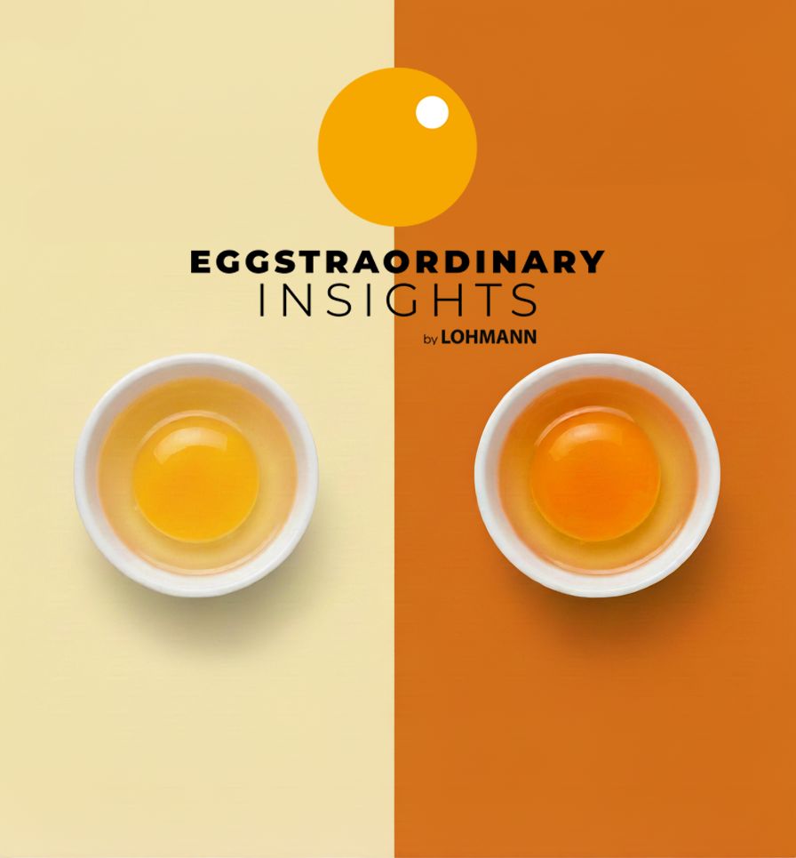 🥚 Eggstraordinary Insights: Why Yolk Color Varies – And What It Really Means