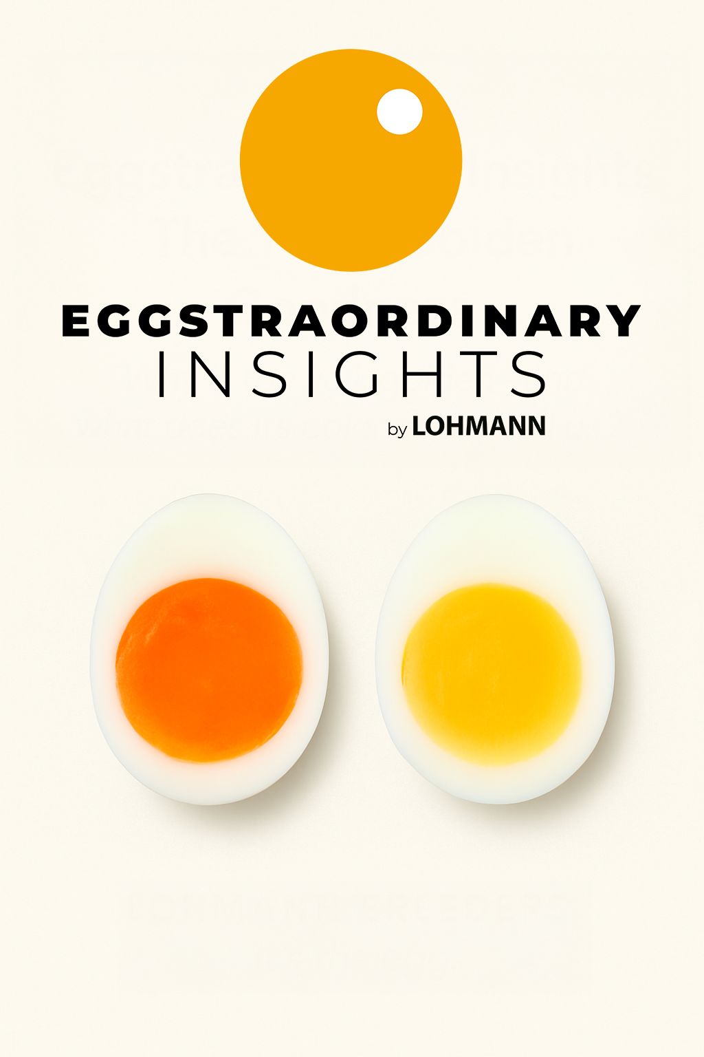 🌟 Eggstraordinary Insights: The Yolk’s Golden Goodness 🌟
