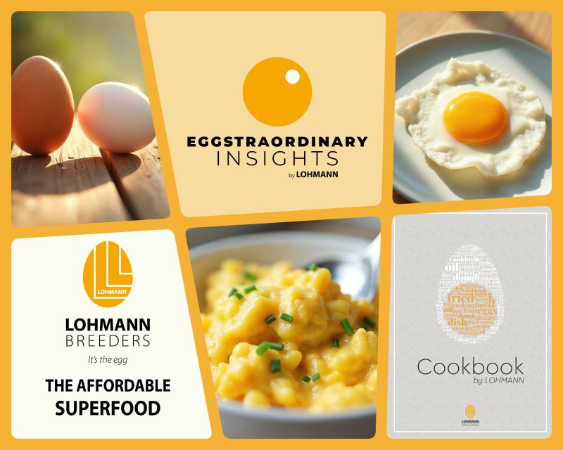 🥚Eggstraordinary Insights: Discover Why the Egg Is the Affordable Superfood for All🥚