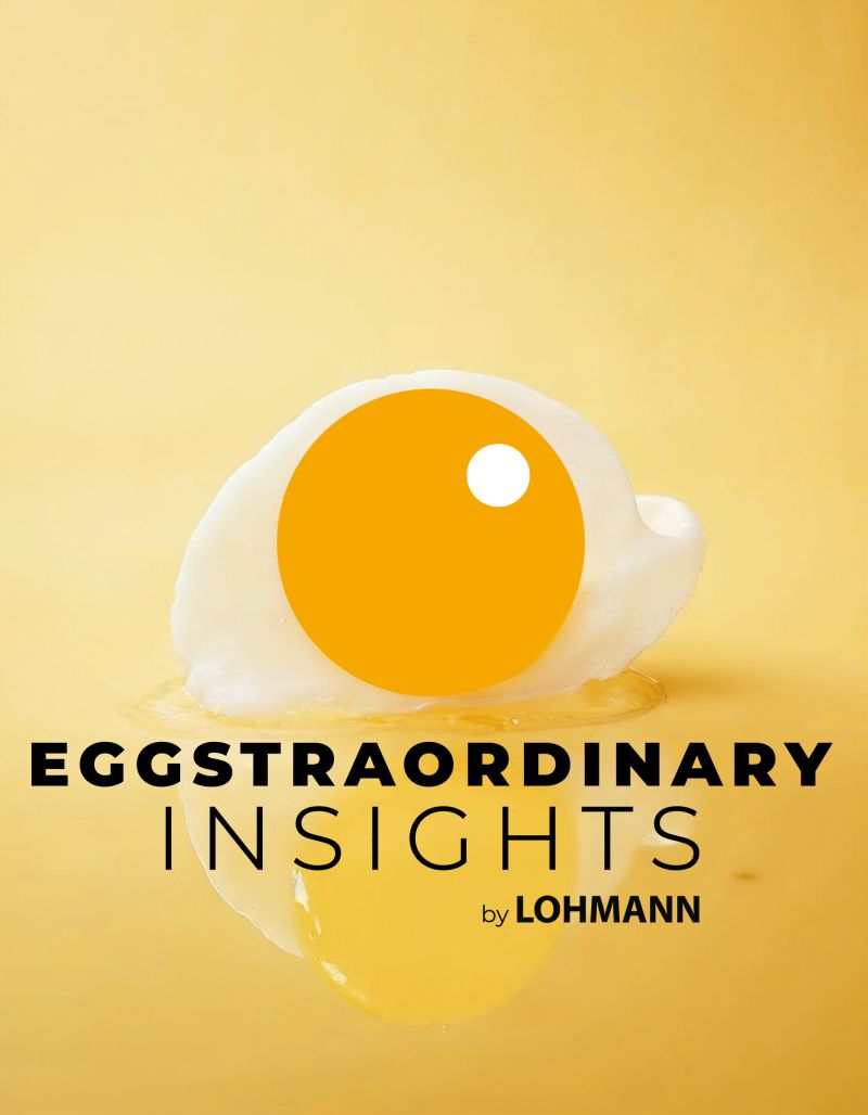 🚀 Welcome to: Eggstraordinary Insights! 🚀
