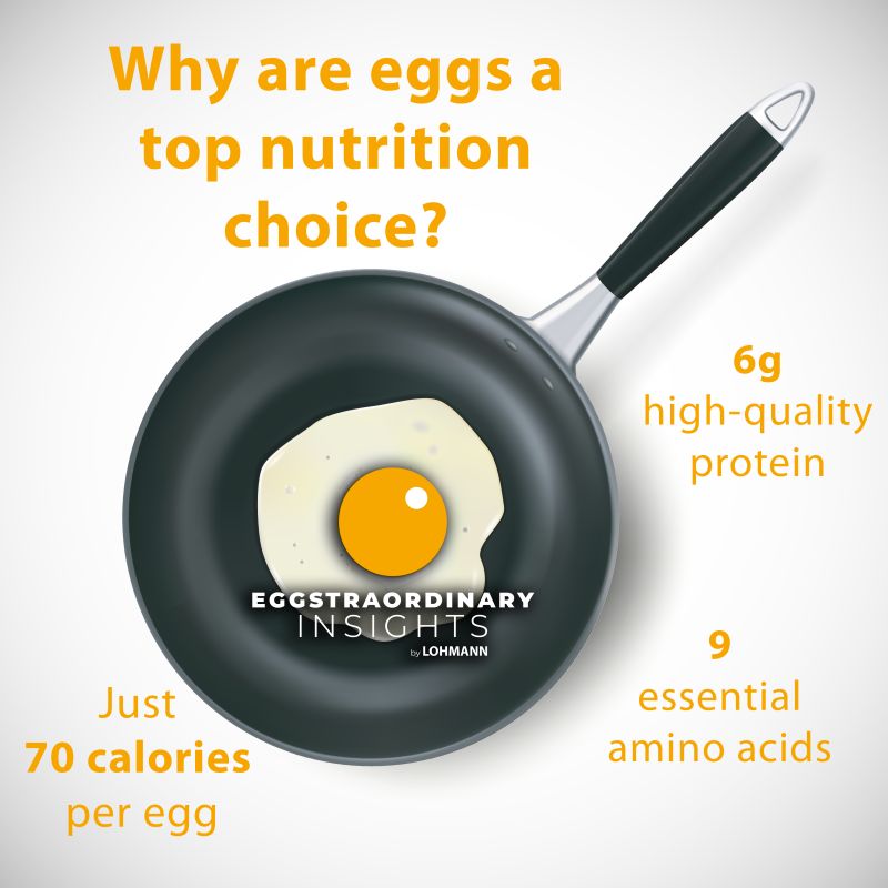 🥚Eggstraordinary Insights – Protein Power in Every Egg