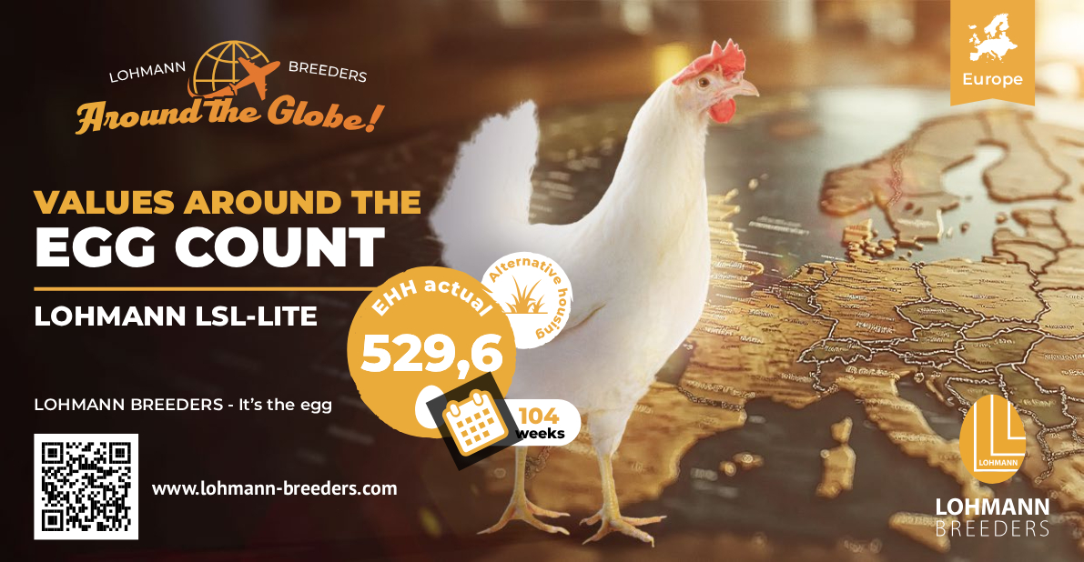 LOHMANN World Egg Count LSL Lite Alternative Europe