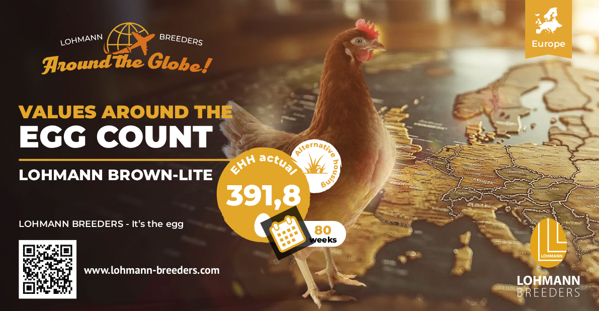LOHMANN World Egg Count LB Lite Alternative Europe