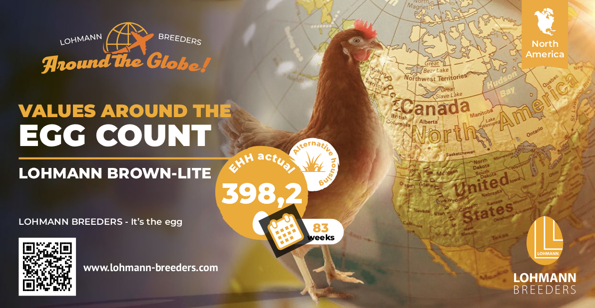 LOHMANN World Egg Count LB Lite Alternative North America