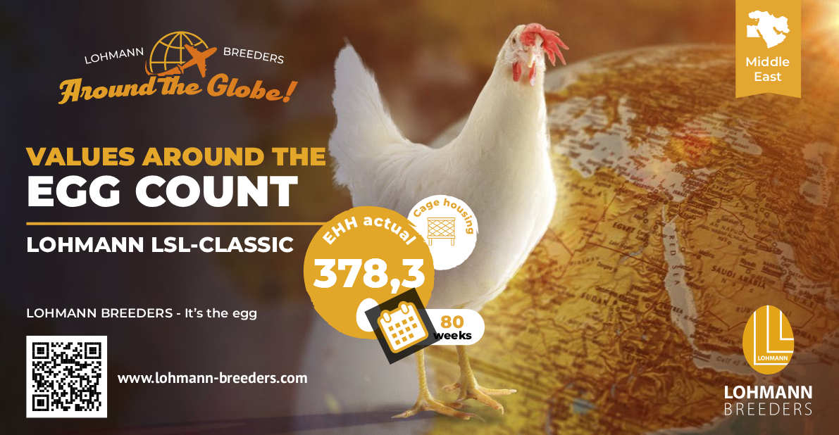 LOHMANN World Egg Count LSL Classic Cage Middle East