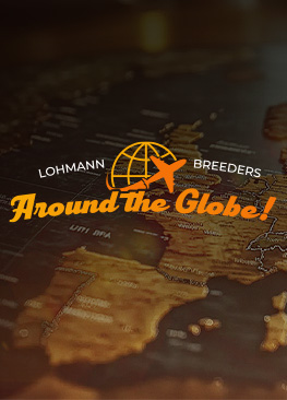 Around the Globe