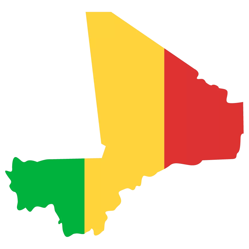 Innovative strategies in mali an interview with Mr. Koumay, owner of Negser Sahel Co.