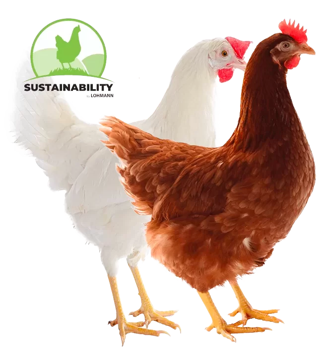 Lohmann sustainability